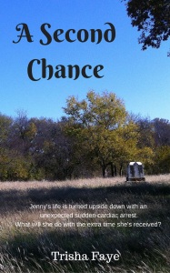 A Second Chance_coverJPEG